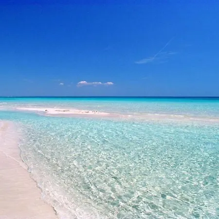 Konukevi Il Pavone 3*